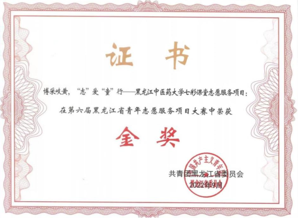 我校在第六届黑龙江省青年志愿服务项目大赛中喜获佳绩