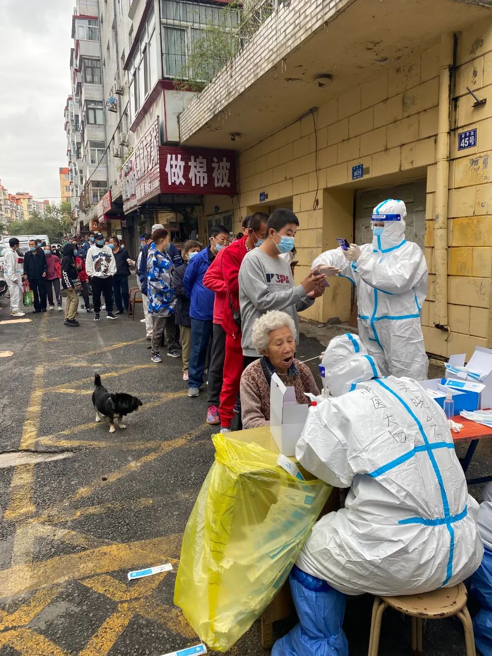 https://mmbiz.qpic.cn/mmbiz_jpg/hcJ49wJDAwkuEqz9MdWZNQh4icWy0MyQHR7aicRWEDNicuQljxnXsz5dvzGh0mN4icBtl4QvO4g4Gz8pqp8tfBZvYg/640?wx_fmt=jpeg https://mmbiz.qpic.cn/mmbiz_jpg/hcJ49wJDAwkuEqz9MdWZNQh4icWy0MyQHR7aicRWEDNicuQljxnXsz5dvzGh0mN4icBtl4QvO4g4Gz8pqp8tfBZvYg/640?wx_fmt=jpeg