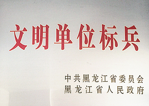 附属第二医院跻身省级文明单位标兵行列