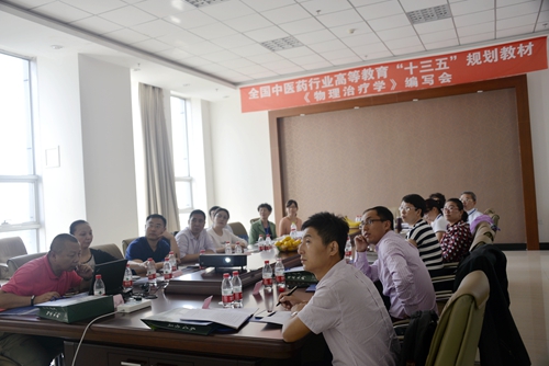 《物理治疗学》编委会分会场
