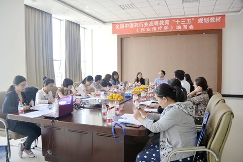 《作业治疗学》编委会分会场