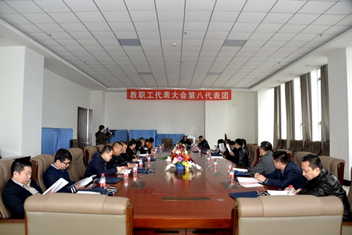 第八代表团讨论现场