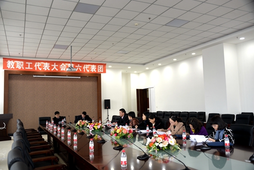 第六代表团讨论现场)